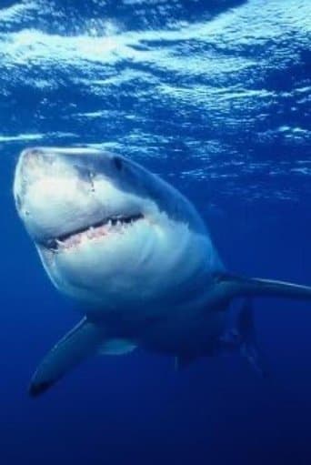 Movie poster for Great White Shark
