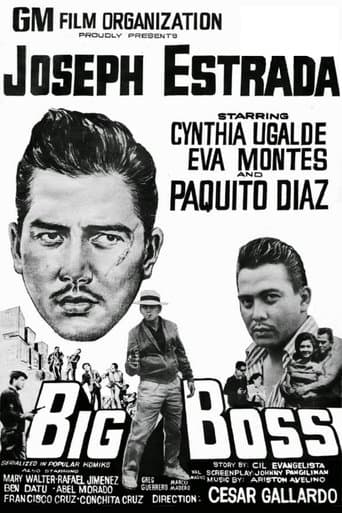 Movie poster for Big Boss