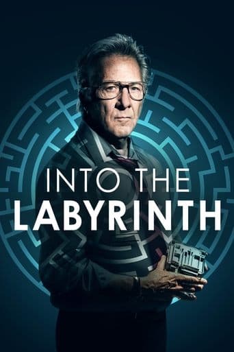 Movie poster for Into the Labyrinth