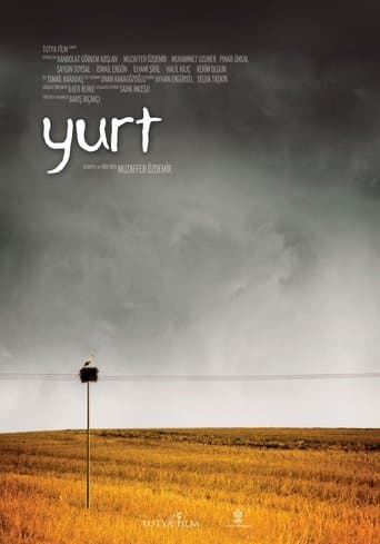 Movie poster for Home