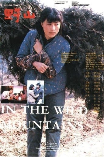 Movie poster for In the Wild Mountains