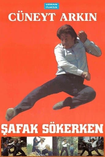 Movie poster for Şafak Sökerken