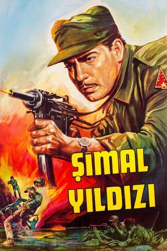 Movie poster for Şimal Yıldızı