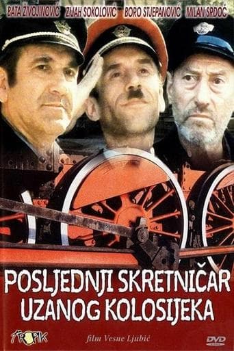 Movie poster for The Last Switchman of the Narrow Gauge Railway