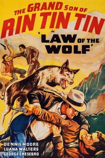 Movie poster for Law of the Wolf