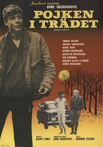 Movie poster for The Boy in the Tree