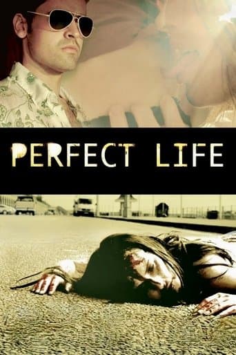 Movie poster for Perfect Life