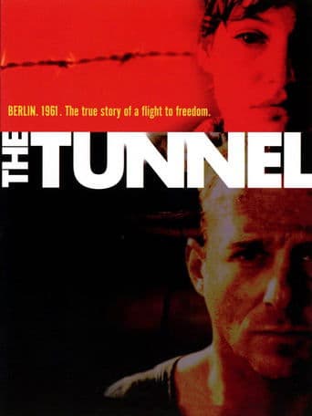 Movie poster for The Tunnel