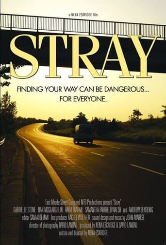 Movie poster for Stray