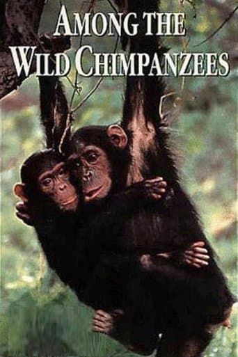 Movie poster for Among the Wild Chimpanzees