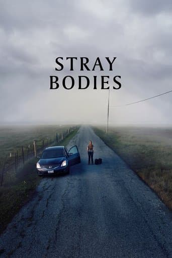 Movie poster for Stray Bodies