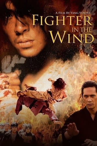 Movie poster for Fighter in the Wind