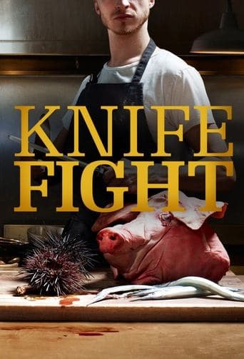 Movie poster for Knife Fight