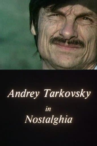 Movie poster for Andrey Tarkovsky in Nostalghia