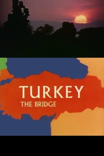 Movie poster for Turkey: The Bridge