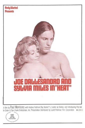 Movie poster for Heat