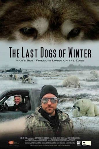 Movie poster for The Last Dogs of Winter