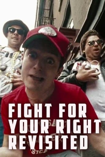 Movie poster for Fight for Your Right Revisited