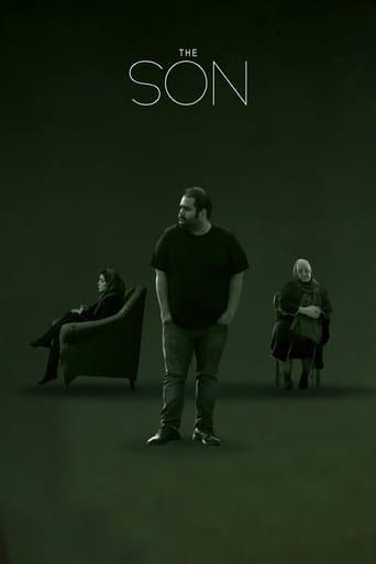 Movie poster for The Son