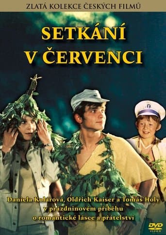 Movie poster for Meeting in July