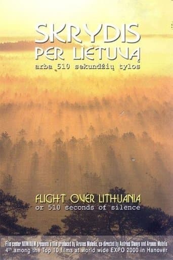 Movie poster for Flight Over Lithuania or 510 Seconds of Silence