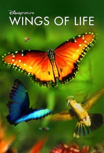 Movie poster for Wings of Life