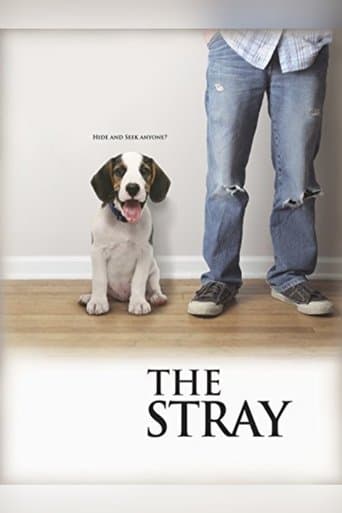 Movie poster for The Stray