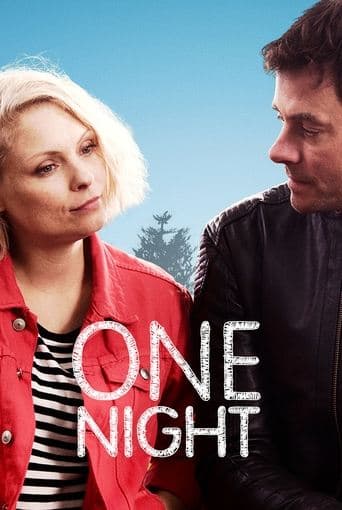 Movie poster for One Night