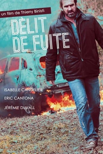 Movie poster for Délit de fuite