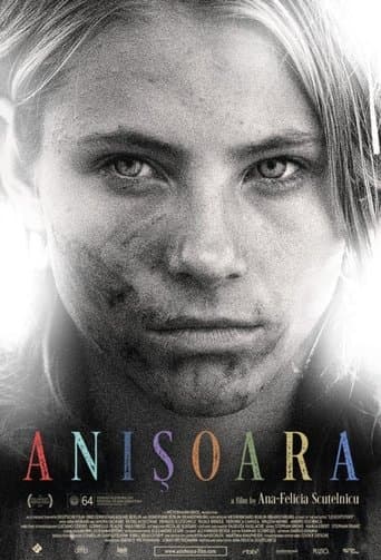 Movie poster for Anishoara