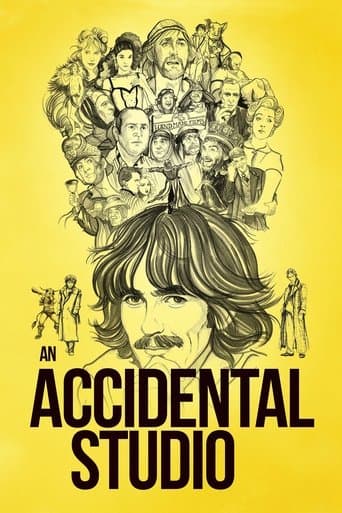 Movie poster for An Accidental Studio