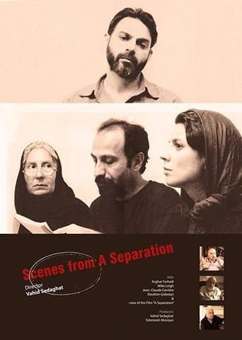 Movie poster for Scenes from A Separation