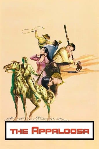 Movie poster for The Appaloosa
