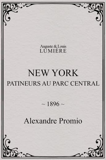 Movie poster for New York, patineurs au Parc central