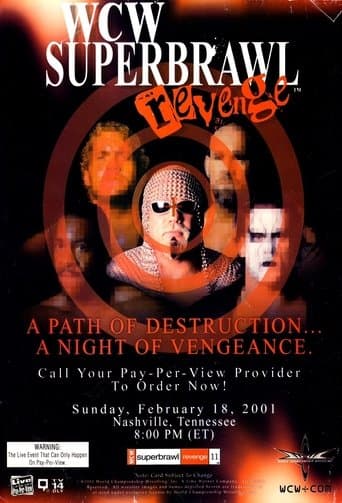 Movie poster for WCW SuperBrawl Revenge