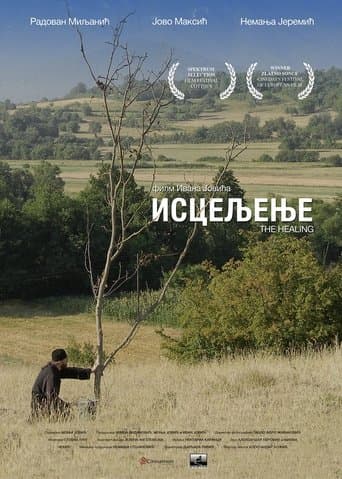 Movie poster for The Healing