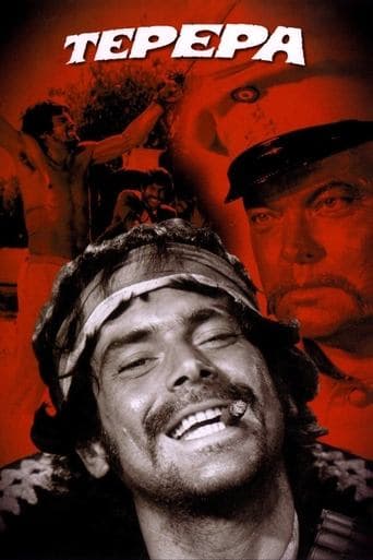 Movie poster for Tepepa