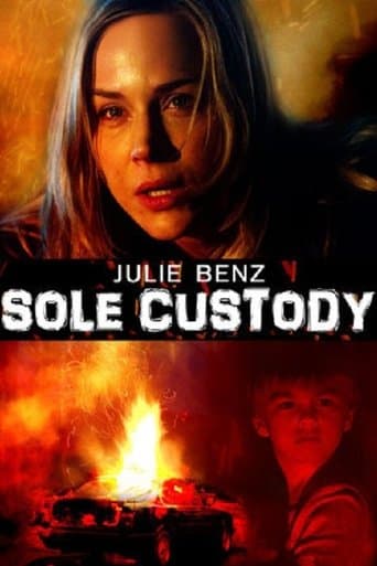 Movie poster for Sole Custody