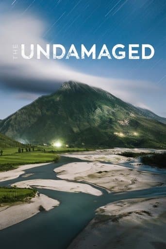 Movie poster for The Undamaged