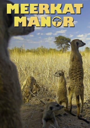 Movie poster for Meerkat Manor