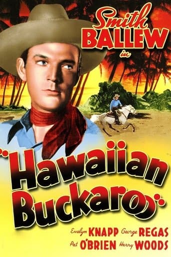 Movie poster for Hawaiian Buckaroo