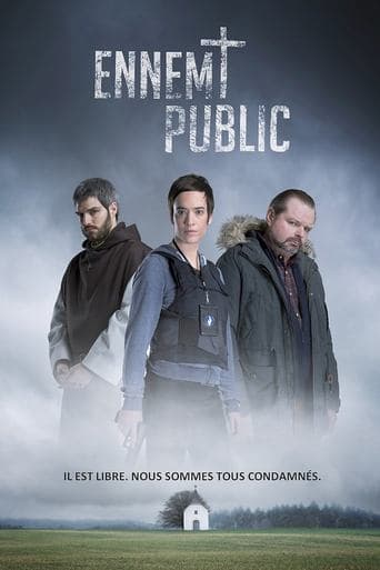 Movie poster for Public Enemy
