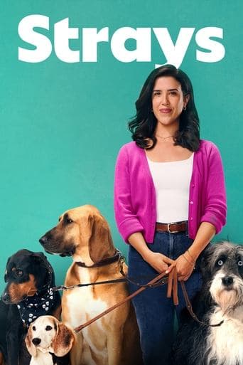 Movie poster for Strays