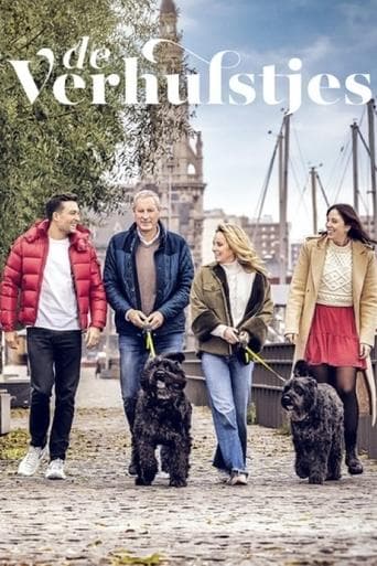 Movie poster for De Verhulstjes