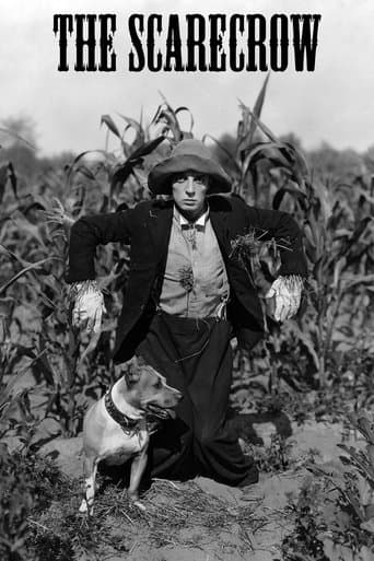 Movie poster for The Scarecrow