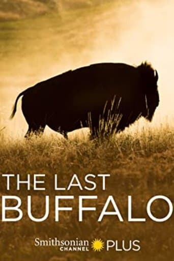 Movie poster for The Last Buffalo