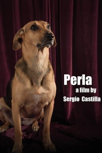 Movie poster for Perla
