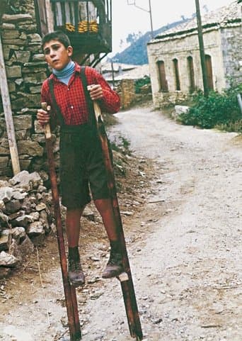 Movie poster for The Flea