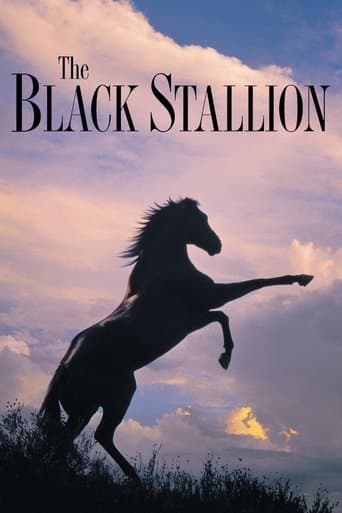 Movie poster for The Black Stallion