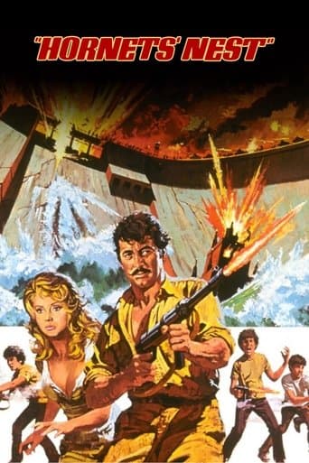 Movie poster for Hornets' Nest